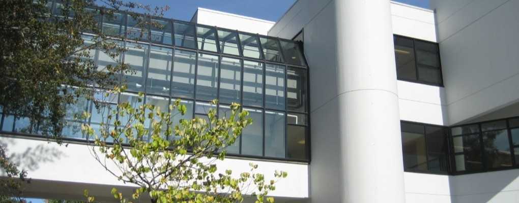 Concrete Carbonation: Understanding the Phenomenon and Preventing It Long-Term with RD-Elastoflex